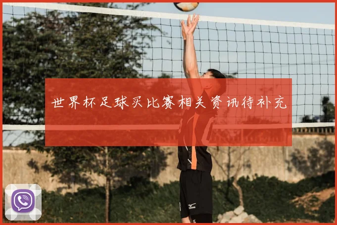 世界杯足球买比赛相关资讯待补充