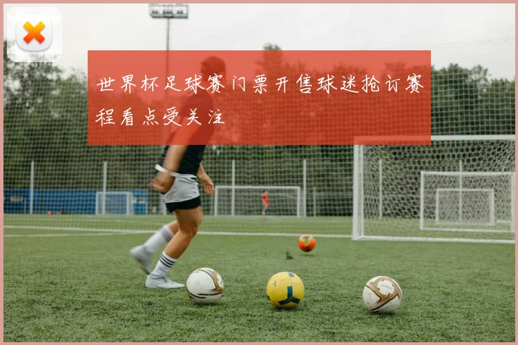 世界杯足球赛门票开售球迷抢订赛程看点受关注
