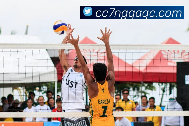 买球官方APP 体育赛事宣传图